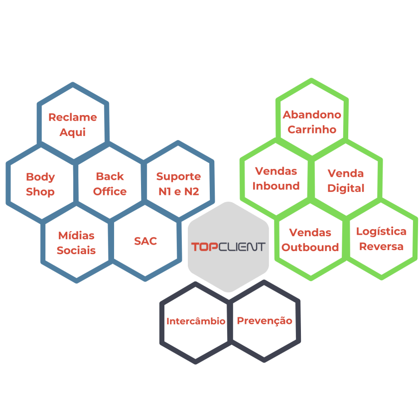 colmeia de serviços topclient